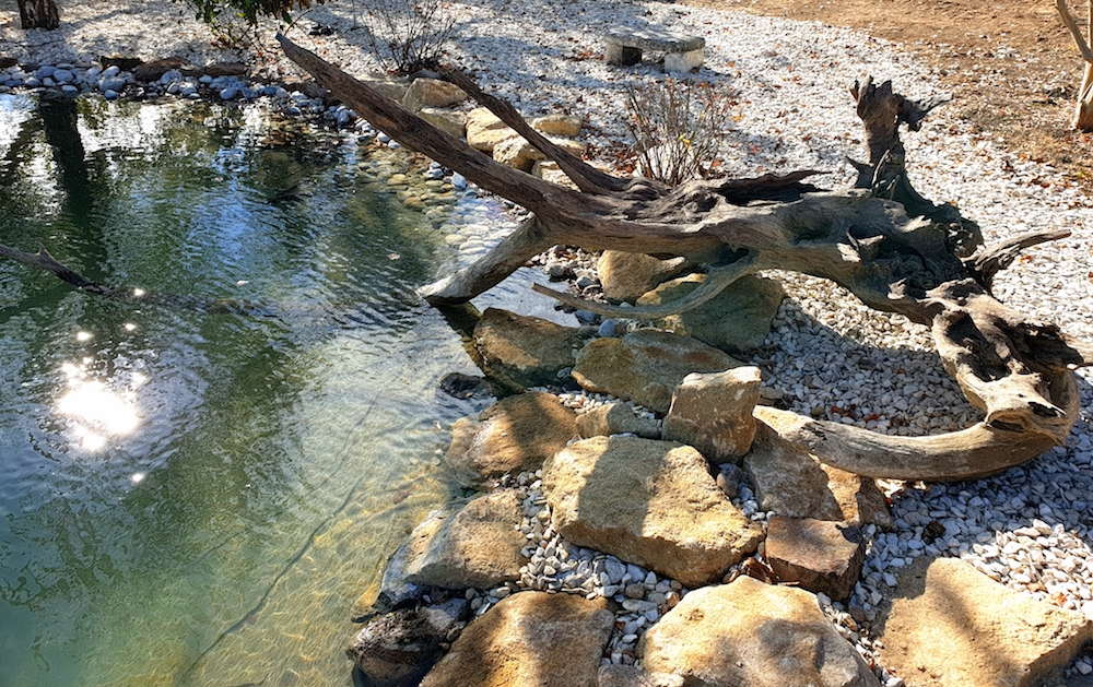 L'EAU DANS LE JARDIN